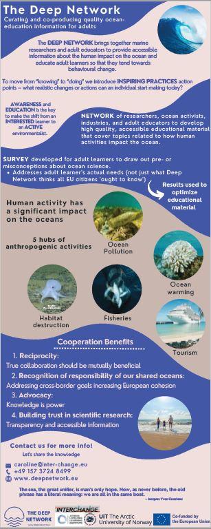 The Deep Network infographic